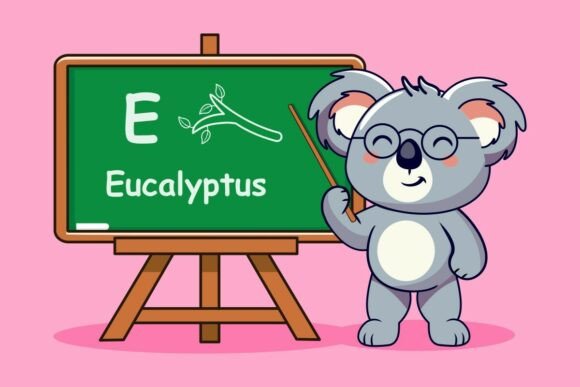 Koala Teacher with Eucalyptus Lesson Graphics